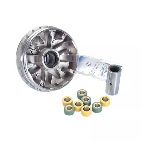 Polini Variator \