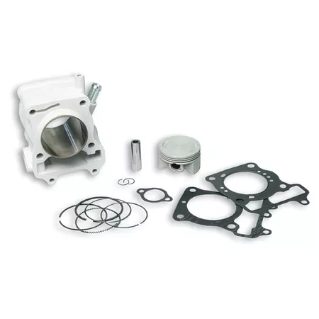 Cylinder Kit Malossi (d=61mm) Honda SH \/ Pantheon 150cc