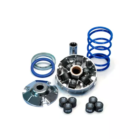 Polini Variator Hi Speed Evolution R02 d=16mm Piaggio NRG \/ Typhoon