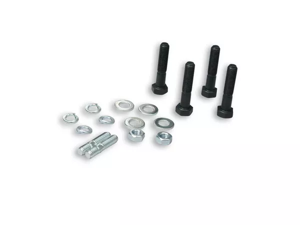Screw Kit Malossi for cylinders M318694 - M317903 - M318691