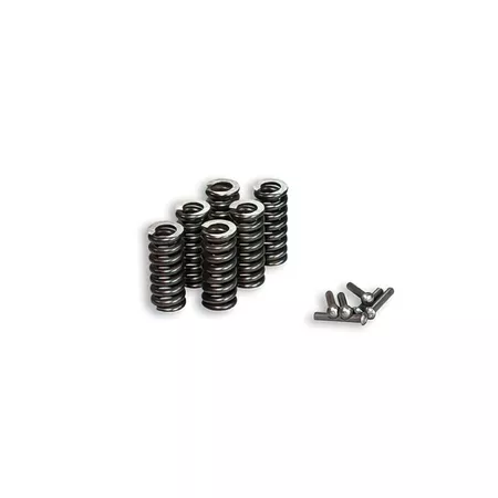 Clutch Springs Malossi (for clutch M675235 - M673888 - M673730)