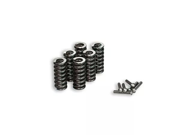 10650-clutch-springs-malossi-for-clutch-m675235-m673888-m673730–1.webp