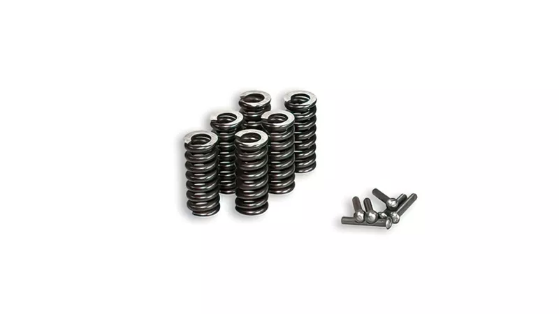 10650-clutch-springs-malossi-for-clutch-m675235-m673888-m673730–1.webp