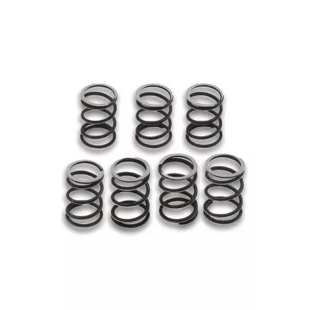Clutch Springs Malossi (x7) Malossi Vespa Cosa \/ PXE 200cc