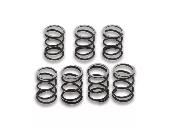 Clutch Springs Malossi (x7) Malossi Vespa Cosa \/ PXE 200cc