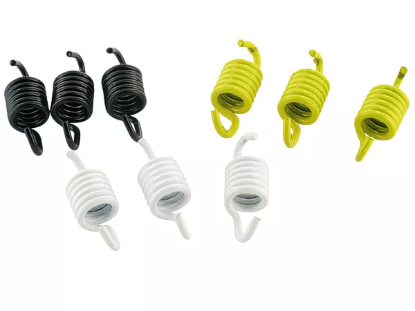 Clutch spring set Malossi, CPI