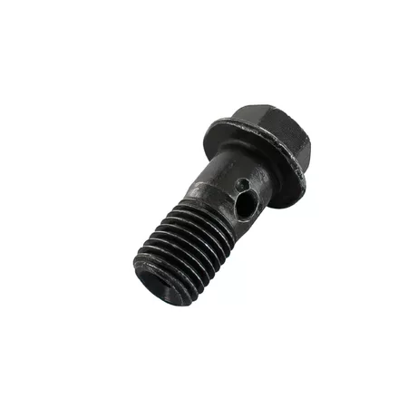 Banjo Bolt M10x1.25 steel