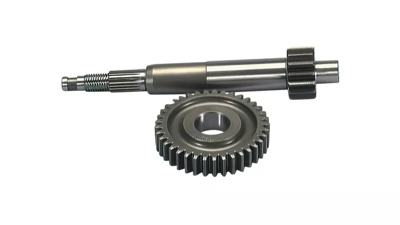 11576-primary-gears-polini-piaggio-zip-vespa-et2-after-2000-1.webp