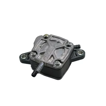 Fuel pump Dellorto, output 55 litre\/h