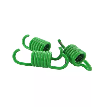 Clutch springs Polini Speed Clutch Minarelli 107mm, d=1.7mm, green (medium)