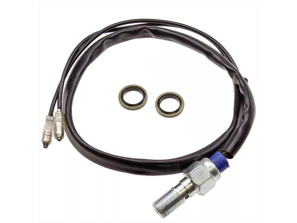 13784-brake-light-switch-hydraulic-foot-brake-m10x1-1.webp