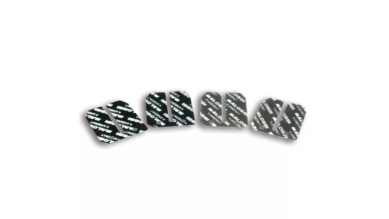 1437-malossi-reed-petals-karbonit-vl7-vl8-0-30-0-35mm-1.webp