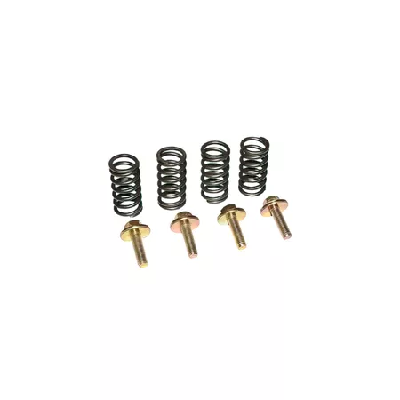 Clutch Springs OEM quality with screws Minarelli AM6