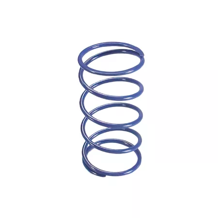 Torque Spring Polini Suzuki Burgman 400cc