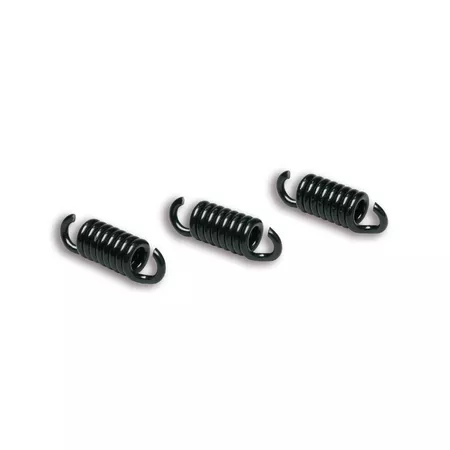 Clutch Springs Malossi Maxi Delta Gilera Runner 125cc black