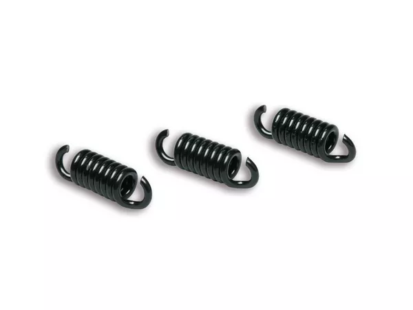 Clutch Springs Malossi Maxi Delta Gilera Runner 125cc black