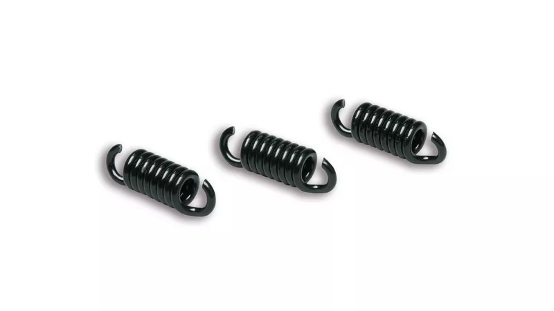 1639-clutch-springs-malossi-maxi-delta-gilera-runner-125cc-black-1.webp