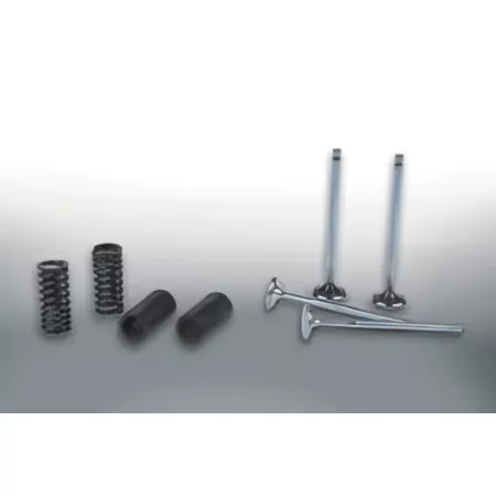Malossi Valve Set Honda 4-stroke 250cc (FES and NSS)