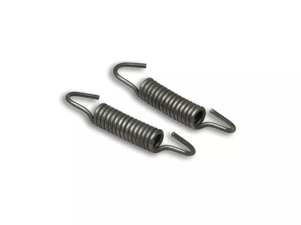 Brake Shoe Springs Malossi