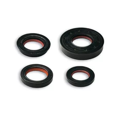 Oil Seal Kit Malossi FKM \/ PTFE Minarelli