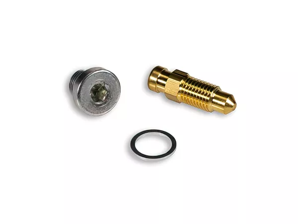 Temperature sensor cap + oil drain screw Malossi MHR Team