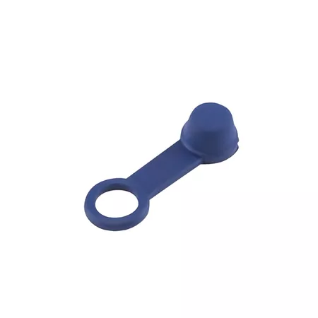 Bleed Screw Cap blue