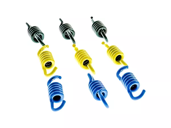 Clutch Springs 3x3 Polini Speed Clutch 3G