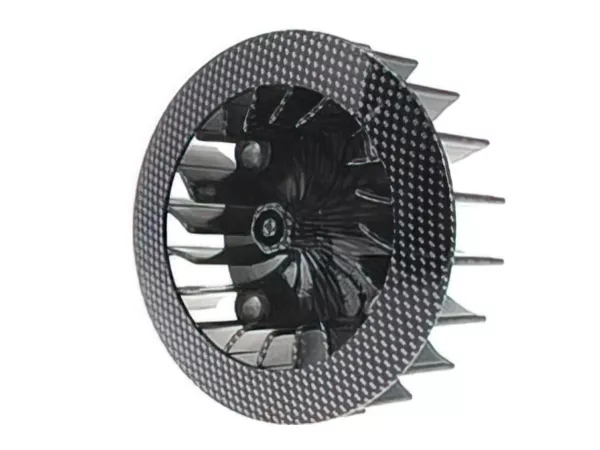 Cooling Fan GY6 \/ Rex RS450 carbon look