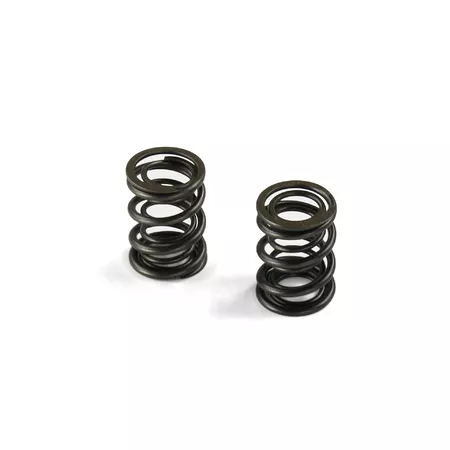Valve Springs (type KLX) Pit Bike YX 140cc \/ 149cc