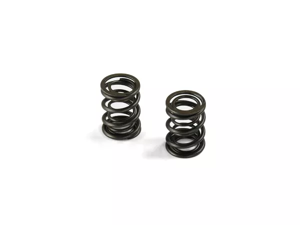 19168-valve-springs-type-klx-pit-bike-yx-140cc-149cc-1.webp