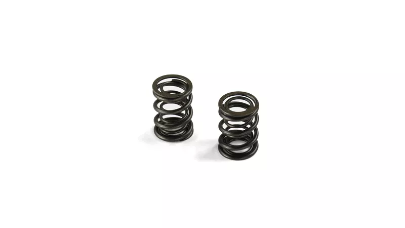 19168-valve-springs-type-klx-pit-bike-yx-140cc-149cc-1.webp