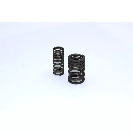 Valve Springs Pit Bike \/ Dirt Bike engine 110cc - 125cc