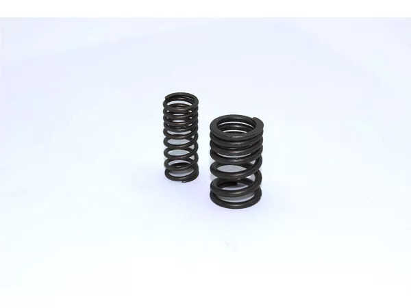 19677-valve-springs-pit-bike-dirt-bike-engine-110cc-125cc-1.webp