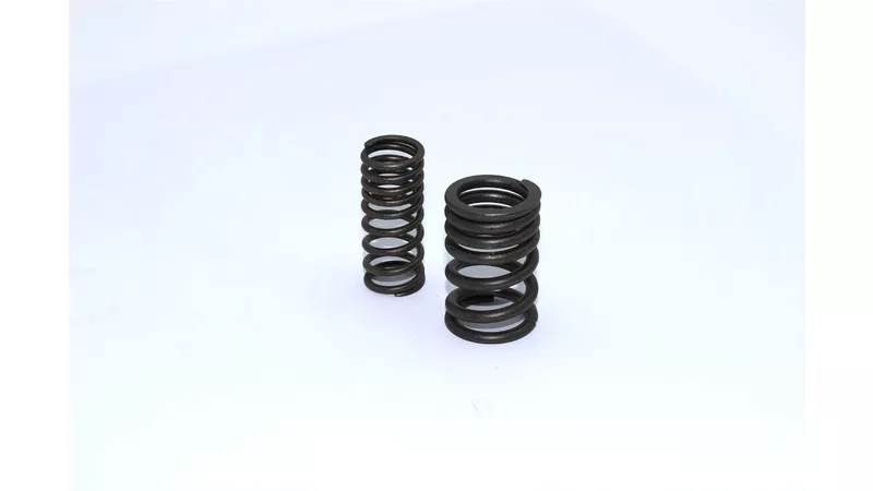 19677-valve-springs-pit-bike-dirt-bike-engine-110cc-125cc-1.webp