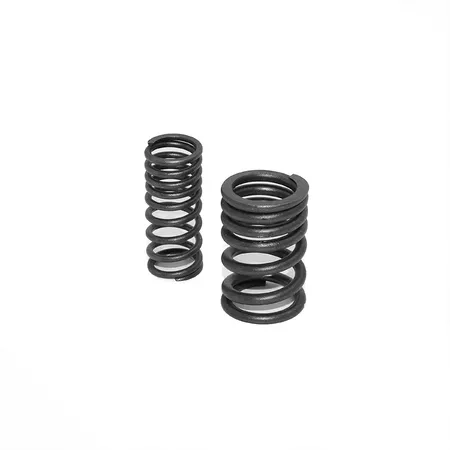 Valve Springs Pit Bike \/ Dirt Bike engine Zongshen 190cc