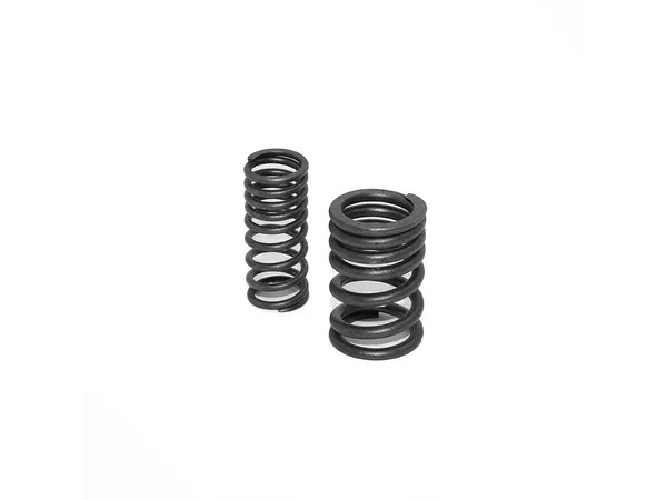 19678-valve-springs-pit-bike-dirt-bike-engine-zongshen-190cc-1.webp