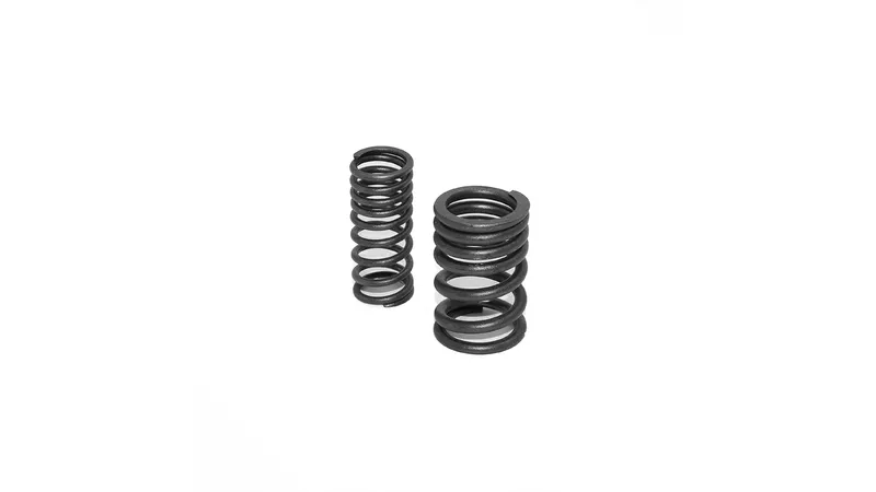19678-valve-springs-pit-bike-dirt-bike-engine-zongshen-190cc-1.webp