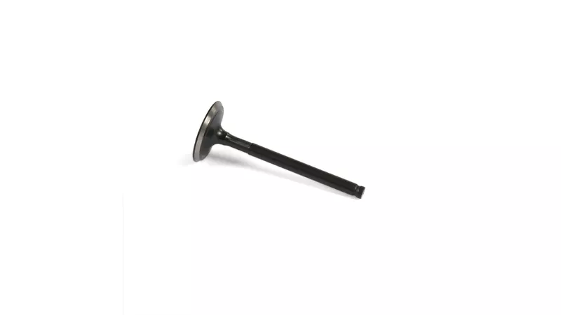 19741-intake-valve-65-8mm-d-23mm-pit-bike-dirt-bike-lifan-125cc-1.webp