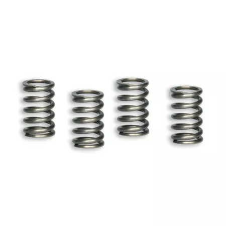 Clutch Springs Malossi Racing Lifan 110 - 150cc