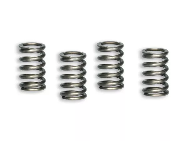 Clutch Springs Malossi Racing Lifan 110 - 150cc
