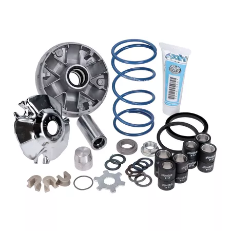 CVT Polini Hi-Speed Evolution d.16mm \/ 12.5Â° Piaggio ZIP