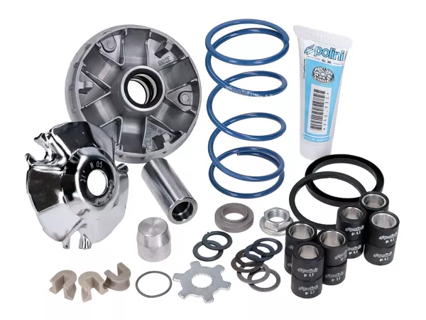 CVT Polini Hi-Speed Evolution d.16mm \/ 12.5° Piaggio ZIP