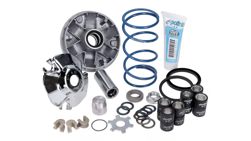 20239-cvt-polini-hi-speed-evolution-d-16mm-12-5-piaggio-zip-1.webp