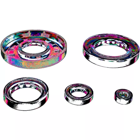Oil Seal Set complete