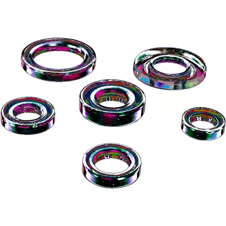 Oil Seal Set complete