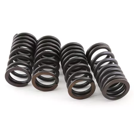 Valve Spring Set (x4) Malossi Gilera Nexus 500cc LC 4-stroke