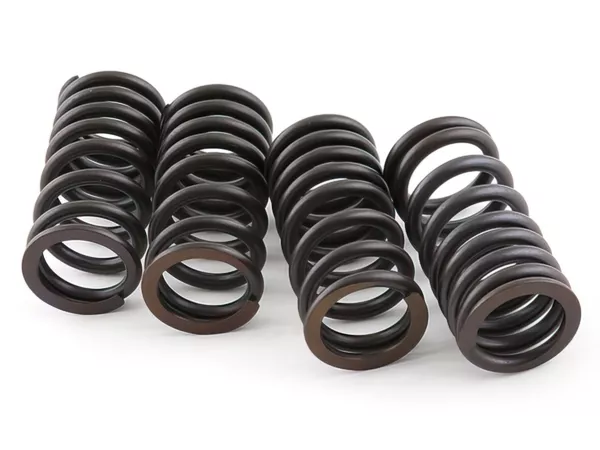 Valve Spring Set (x4) Malossi Gilera Nexus 500cc LC 4-stroke