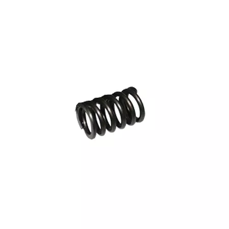 Clutch Spring 150
