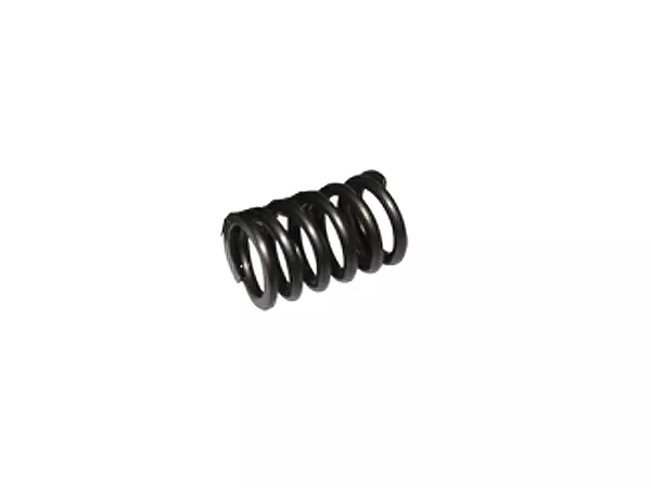 Clutch Spring 150