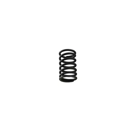 Valve Spring (external) double sping valves h.36mm - d.22,2mm Pit Bike YX